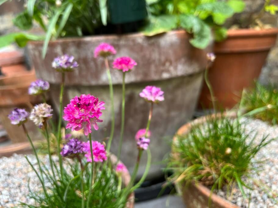 Kings Cross, Self-Contained House & Private Garden Villa London Eksteriør bilde