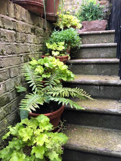 Kings Cross, Self-Contained House & Private Garden Villa London Eksteriør bilde