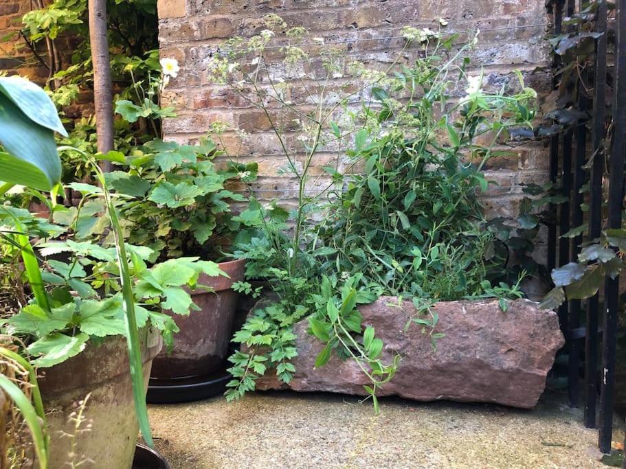 Kings Cross, Self-Contained House & Private Garden Villa London Eksteriør bilde